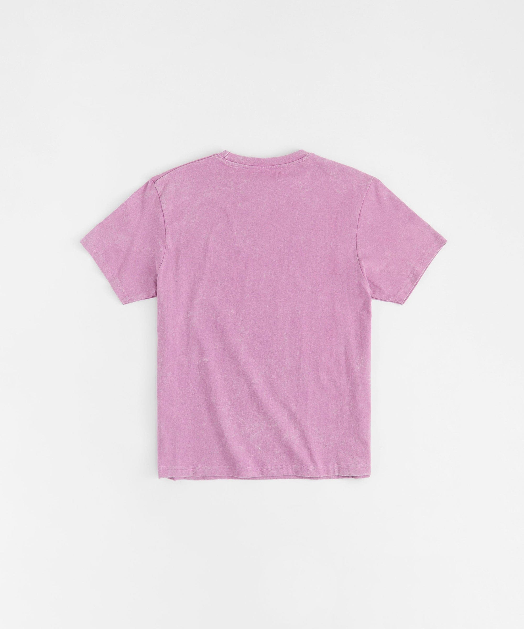 Washed Embroidered Short Sleeve Tee - Purple